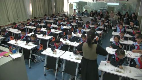 《枫树上的喜鹊》2025部编版二下语文青年教师赛课优质课视频