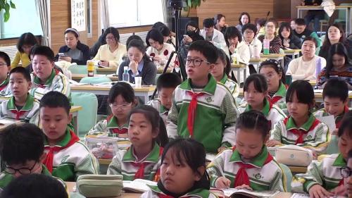 《琥珀》部编版四下语文2025新教材新课标展示课视频