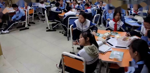 《探究种子萌发的环境》教科版五下科学2025研讨课视频