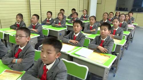 《海上日出》2025部编版四下语文任务群展示课视频