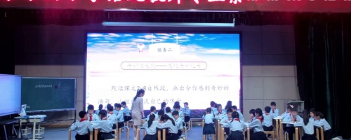 《我们奇妙的世界》部编版三下语文赛课视频