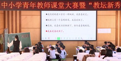《枫树上的喜鹊》2025部编版二下语文奎文区青年教师课堂大赛视频1