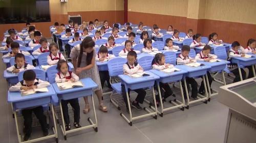 《枫树上的喜鹊》2025公开课二年级下册部编版语文-小学语文新课标特等奖