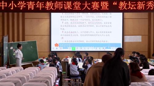 《枫树上的喜鹊》2025部编版二下语文奎文区青年教师课堂大赛视频4