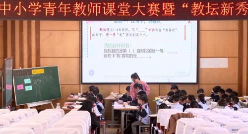 《枫树上的喜鹊》2025部编版二下语文奎文区青年教师课堂大赛视频2