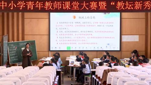 《枫树上的喜鹊》2025部编版二下语文奎文区青年教师课堂大赛视频3