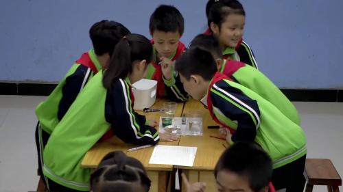 三年级下册《我做了一项小实验》部编版语文公开课优质课