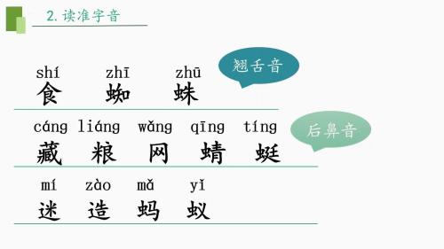 《动物儿歌》部编版一下语文素养导向下的识字课2025研讨课视频