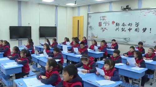 二年级下册《画杨桃》2025部编版语文公开课优质课