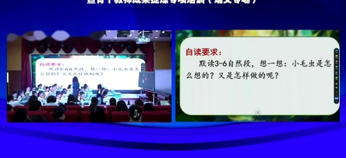《小毛虫》部编版二下语文骨干教师展示课视频