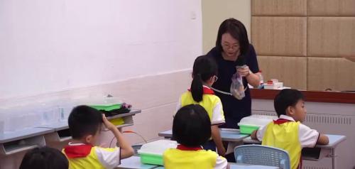 《豆芽成长记》2025人教版二年级劳动教学展示课视频