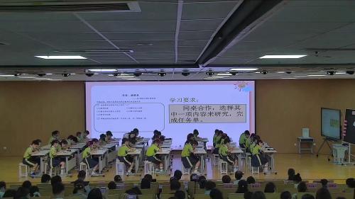 《复习与关联-小数回头看》2025人教版四下数立足核心素养探索单元整体教学主题研讨活动展示课视频