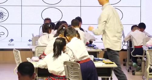 《它们去哪里》教科版一下科学名师2025研讨课视频