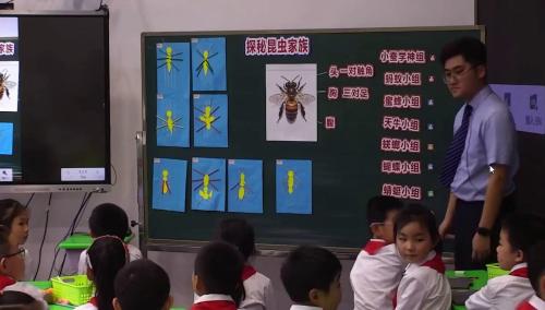 《探秘昆虫家族》教科版四下科学基于教学改革、融合信息技术的新型教与学模式2025研讨课视频