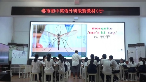 The art of having fun - 优质课公开课视频专辑