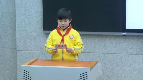 《蜜蜂》2025部编版语文三下新课标任务群公开课视频-张明珠