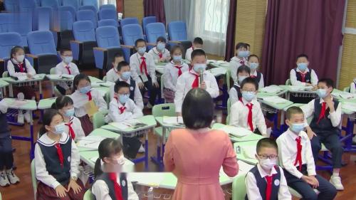 《琥珀》部编版语文四下新课标任务群优课视频-陈颖琪