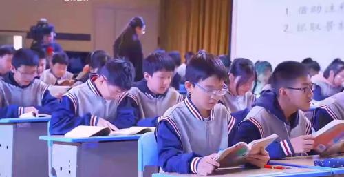 《望岳》部编初中语文七年级下册公开课视频