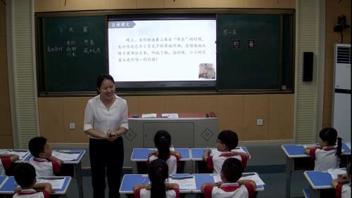 《天窗》部编版语文四下公开课视频-程翠菊