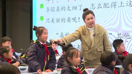 习作《看图画，写一写 》2025部编版语文三下新课标任务群示范课