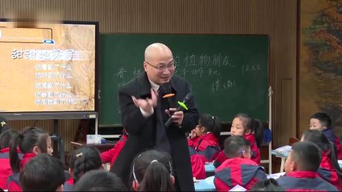 习作《我的植物朋友》部编版语文三下新课标任务群示范课