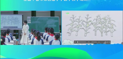 《神奇的莫比乌斯带》人教版六下数学全国十省市第四届小数观摩2025研讨课视频