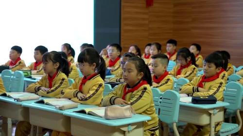 《我们奇妙的世界》2025部编版语文三下新课标任务群示范课