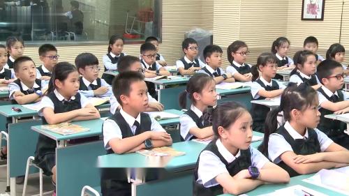 《我们奇妙的世界》2025部编版语文三下新课标任务群示范课