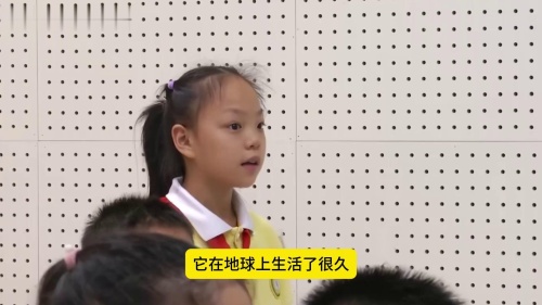 三年级下册《国宝大熊猫》2025部编版语文公开课优质课