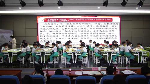 《秋天的雨》部编版三上语文素养本位的小学语文学业质量评价的实践研究课视频