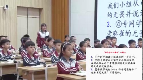 《麻雀 2》2025部编版语文四下公开课视频