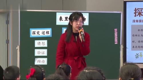 《表里的生物》2025部编版语文六下新课标任务群示范课视频