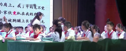 《珍珠鸟》2025-部编版五上语文群文阅读研讨课视频