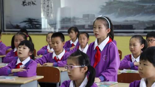 《2.不一样的你我他》部编版道法三年级下册-王老师-课堂实录