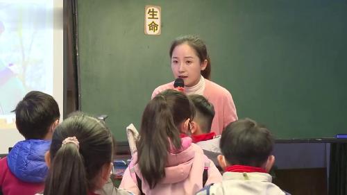《生命最宝贵》部编版道法三年级-新课标示范课评比获奖视频