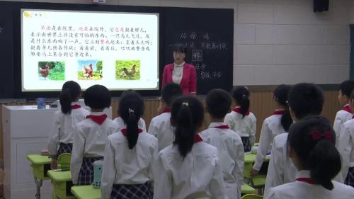 《母鸡 2》部编版语文四下公开课视频