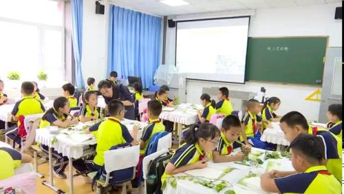 《爬山虎的脚》部编版语文四下公开课视频