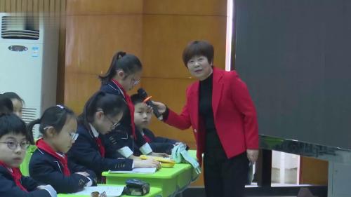 《威尼斯的小艇》部编版语文五下新课标任务群示范课视频