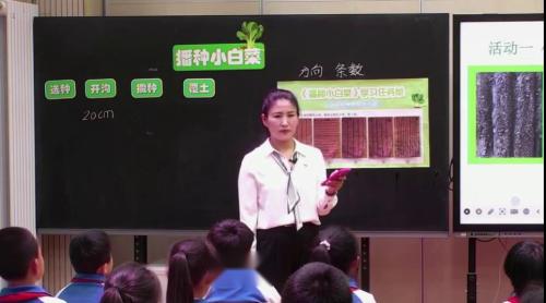 《播种小白菜》小学三年级劳动课视频