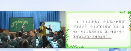 《我要的是葫芦》部编版二上语文思辨性阅读2025研讨课视频