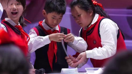 《食物在身体里的旅行》2025小学科学教科版四年级上册优质课展示活动-甘肃