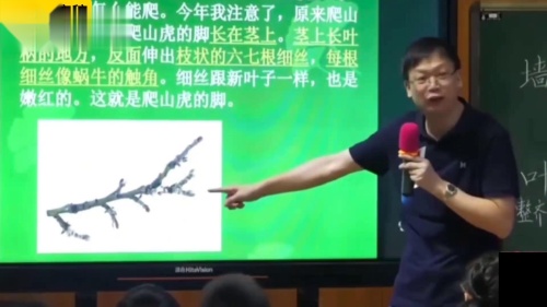 《爬山虎的脚》2025部编版语文四上-全国名师公开课特级教师-薛法根