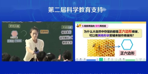 《蜂巢的秘密》小学四年级科学2025研讨课视频