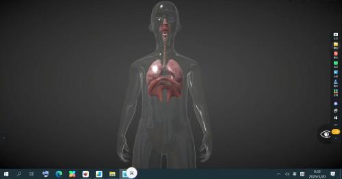 人的呼吸 - 优质课公开课视频专辑