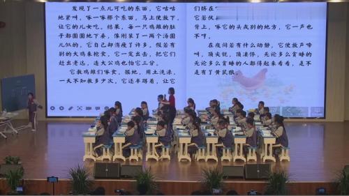 《母鸡》部编版语文四下任务群新课标赛课