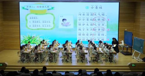 小青蛙 - 优质课公开课视频专辑