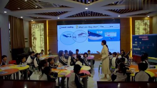 《U3 Amazing animals C Reading time》2025新人教三上英语展示课视频