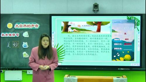 《大自然的声音》2025部编版三上语文任务群视频