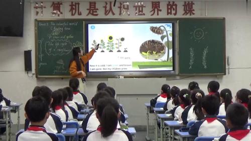 《Unit 5 The colourful world Reading time》新人教三上英语2025研讨课视频