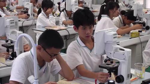 《观察洋葱鳞片叶内表皮细胞 》2025人教版七上生物实验课视频